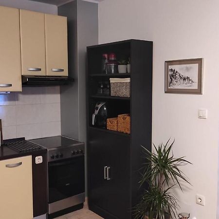 Apartman Hidden Gem Šibenik Eksteriør bilde